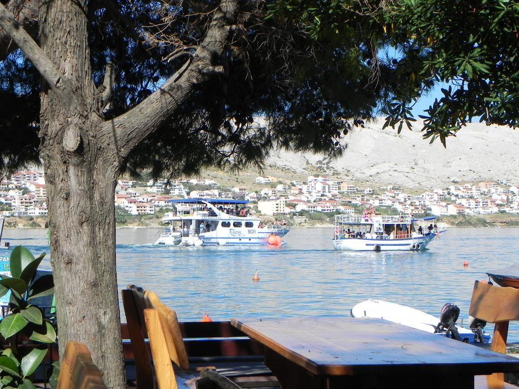 Apartments Riva Pag Town Værelse billede